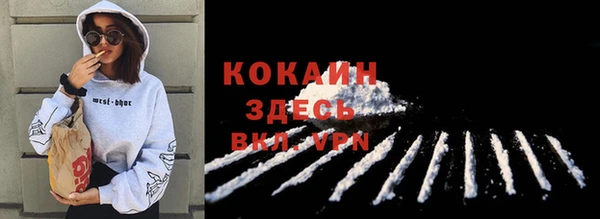 спиды Елизово