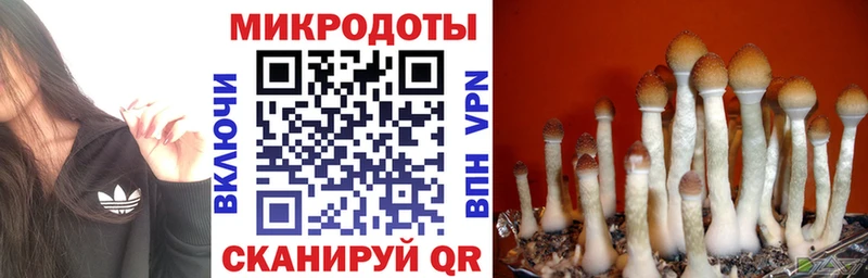 Галлюциногенные грибы Cubensis Назрань